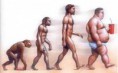 /album/fotogaleria/evolucion-nutricional-stop-jpg/